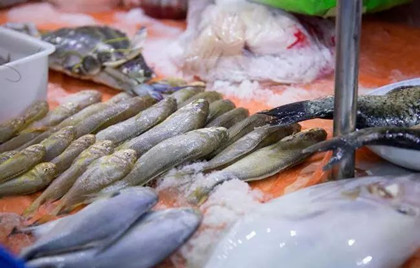 水產品保鮮技術--濟南佳農食品有限公司